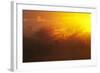 View of swamp habitat at sunrise, Everglades, Florida, USA-David Tipling-Framed Photographic Print