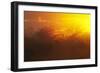 View of swamp habitat at sunrise, Everglades, Florida, USA-David Tipling-Framed Photographic Print