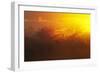 View of swamp habitat at sunrise, Everglades, Florida, USA-David Tipling-Framed Photographic Print