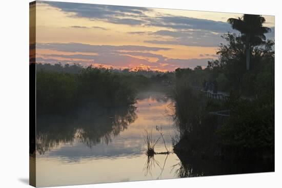 View of swamp habitat at sunrise, with tourists on path, Anhinga Trail, Everglades-David Tipling-Stretched Canvas