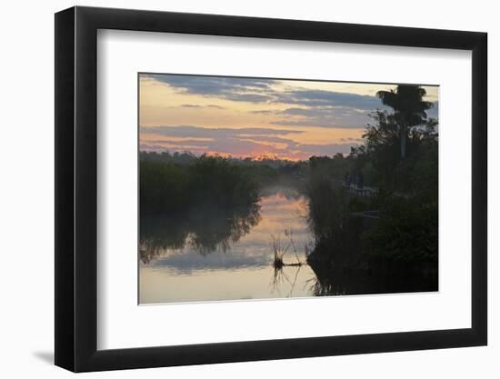 View of swamp habitat at sunrise, with tourists on path, Anhinga Trail, Everglades-David Tipling-Framed Photographic Print
