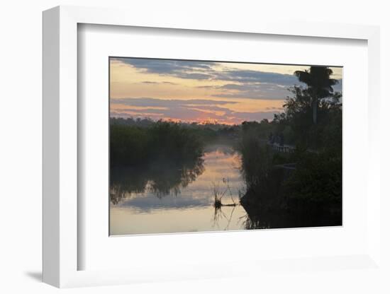 View of swamp habitat at sunrise, with tourists on path, Anhinga Trail, Everglades-David Tipling-Framed Photographic Print