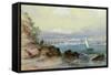 View of Sydney Harbour-Conrad Martens-Framed Stretched Canvas