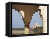 View of Taj Mahal From Agra Fort, UNESCO World Heritage Site, Agra, Uttar Pradesh, India, Asia-Ian Trower-Framed Stretched Canvas
