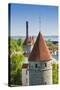 View of Tallinn from Toompea Hill, Old Town of Tallinn, Estonia, Baltic States-Nico Tondini-Stretched Canvas