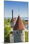 View of Tallinn from Toompea Hill, Old Town of Tallinn, Estonia, Baltic States-Nico Tondini-Mounted Photographic Print