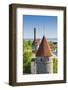 View of Tallinn from Toompea Hill, Old Town of Tallinn, Estonia, Baltic States-Nico Tondini-Framed Photographic Print