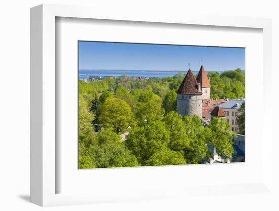 View of Tallinn from Toompea Hill, Old Town of Tallinn, Estonia, Baltic States-Nico Tondini-Framed Photographic Print