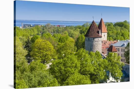 View of Tallinn from Toompea Hill, Old Town of Tallinn, Estonia, Baltic States-Nico Tondini-Stretched Canvas