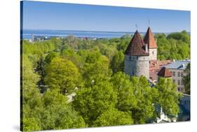 View of Tallinn from Toompea Hill, Old Town of Tallinn, Estonia, Baltic States-Nico Tondini-Stretched Canvas