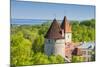 View of Tallinn from Toompea Hill, Old Town of Tallinn, Estonia, Baltic States-Nico Tondini-Mounted Photographic Print