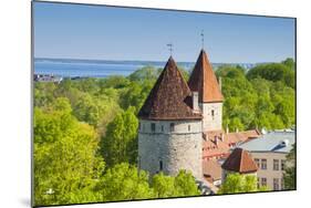 View of Tallinn from Toompea Hill, Old Town of Tallinn, Estonia, Baltic States-Nico Tondini-Mounted Photographic Print