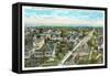 View of Tampa, Florida-null-Framed Stretched Canvas