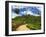 View of Tea Plantations from Lipton's Seat, Haputale, Sri Lanka, Asia-Jochen Schlenker-Framed Premium Photographic Print