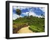 View of Tea Plantations from Lipton's Seat, Haputale, Sri Lanka, Asia-Jochen Schlenker-Framed Premium Photographic Print