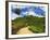 View of Tea Plantations from Lipton's Seat, Haputale, Sri Lanka, Asia-Jochen Schlenker-Framed Photographic Print