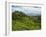 View of Tea Plantations from Lipton's Seat, Haputale, Sri Lanka, Asia-Jochen Schlenker-Framed Photographic Print