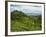 View of Tea Plantations from Lipton's Seat, Haputale, Sri Lanka, Asia-Jochen Schlenker-Framed Photographic Print