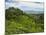 View of Tea Plantations from Lipton's Seat, Haputale, Sri Lanka, Asia-Jochen Schlenker-Mounted Photographic Print