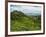 View of Tea Plantations from Lipton's Seat, Haputale, Sri Lanka, Asia-Jochen Schlenker-Framed Photographic Print