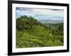 View of Tea Plantations from Lipton's Seat, Haputale, Sri Lanka, Asia-Jochen Schlenker-Framed Photographic Print