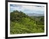 View of Tea Plantations from Lipton's Seat, Haputale, Sri Lanka, Asia-Jochen Schlenker-Framed Photographic Print