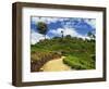 View of Tea Plantations from Lipton's Seat, Haputale, Sri Lanka, Asia-Jochen Schlenker-Framed Photographic Print