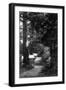 View of Tents through the Trees - Bohemian Grove, CA-Lantern Press-Framed Art Print