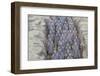 View of Terracotta Warriors in the Tomb Museum, Xi'an, Shaanxi Province-Frank Fell-Framed Photographic Print
