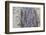 View of Terracotta Warriors in the Tomb Museum, Xi'an, Shaanxi Province-Frank Fell-Framed Photographic Print