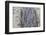 View of Terracotta Warriors in the Tomb Museum, Xi'an, Shaanxi Province-Frank Fell-Framed Photographic Print