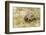 View of Texas Tortoise-Gary Carter-Framed Photographic Print