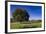 View of the Aiguilles De Bavella, Quenza, Corsica, France-Walter Bibikow-Framed Photographic Print