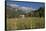 View of the Albanian Alps near Thethi, on the western Balkan peninsula, in northern Albania, Europe-Julio Etchart-Framed Stretched Canvas