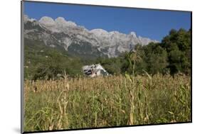 View of the Albanian Alps near Thethi, on the western Balkan peninsula, in northern Albania, Europe-Julio Etchart-Mounted Photographic Print