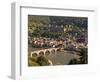 View of the Alte Brucke (Old Bridge), Neckar River Heidelberg Castle and Old Town from the Philosop-Michael DeFreitas-Framed Photographic Print