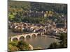 View of the Alte Brucke (Old Bridge), Neckar River Heidelberg Castle and Old Town from the Philosop-Michael DeFreitas-Mounted Photographic Print