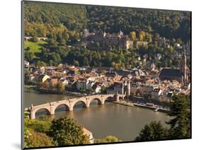 View of the Alte Brucke (Old Bridge), Neckar River Heidelberg Castle and Old Town from the Philosop-Michael DeFreitas-Mounted Photographic Print