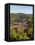 View of the Alte Brucke (Old Bridge), Neckar River Heidelberg Castle and Old Town from the Philosop-Michael DeFreitas-Framed Stretched Canvas