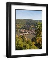 View of the Alte Brucke (Old Bridge), Neckar River Heidelberg Castle and Old Town from the Philosop-Michael DeFreitas-Framed Photographic Print