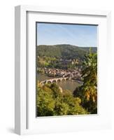 View of the Alte Brucke (Old Bridge), Neckar River Heidelberg Castle and Old Town from the Philosop-Michael DeFreitas-Framed Photographic Print