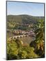 View of the Alte Brucke (Old Bridge), Neckar River Heidelberg Castle and Old Town from the Philosop-Michael DeFreitas-Mounted Photographic Print