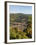 View of the Alte Brucke (Old Bridge), Neckar River Heidelberg Castle and Old Town from the Philosop-Michael DeFreitas-Framed Photographic Print