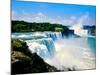 View of the American Falls, Niagara Falls, New York State, USA-null-Mounted Photographic Print