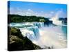 View of the American Falls, Niagara Falls, New York State, USA-null-Stretched Canvas