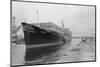 View of the American Freighter SS Mayaguez-null-Mounted Photographic Print