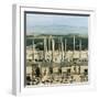 View of the Apadana-null-Framed Giclee Print