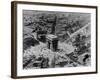 View of the Arc De Triomphe-null-Framed Photographic Print