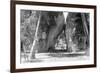 View of the Arch Rock Entrance, Model-T Ford Parked - Yosemite National Park, CA-Lantern Press-Framed Premium Giclee Print
