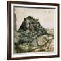 View of the Arco Valley in the Tyrol-Albrecht Dürer-Framed Art Print